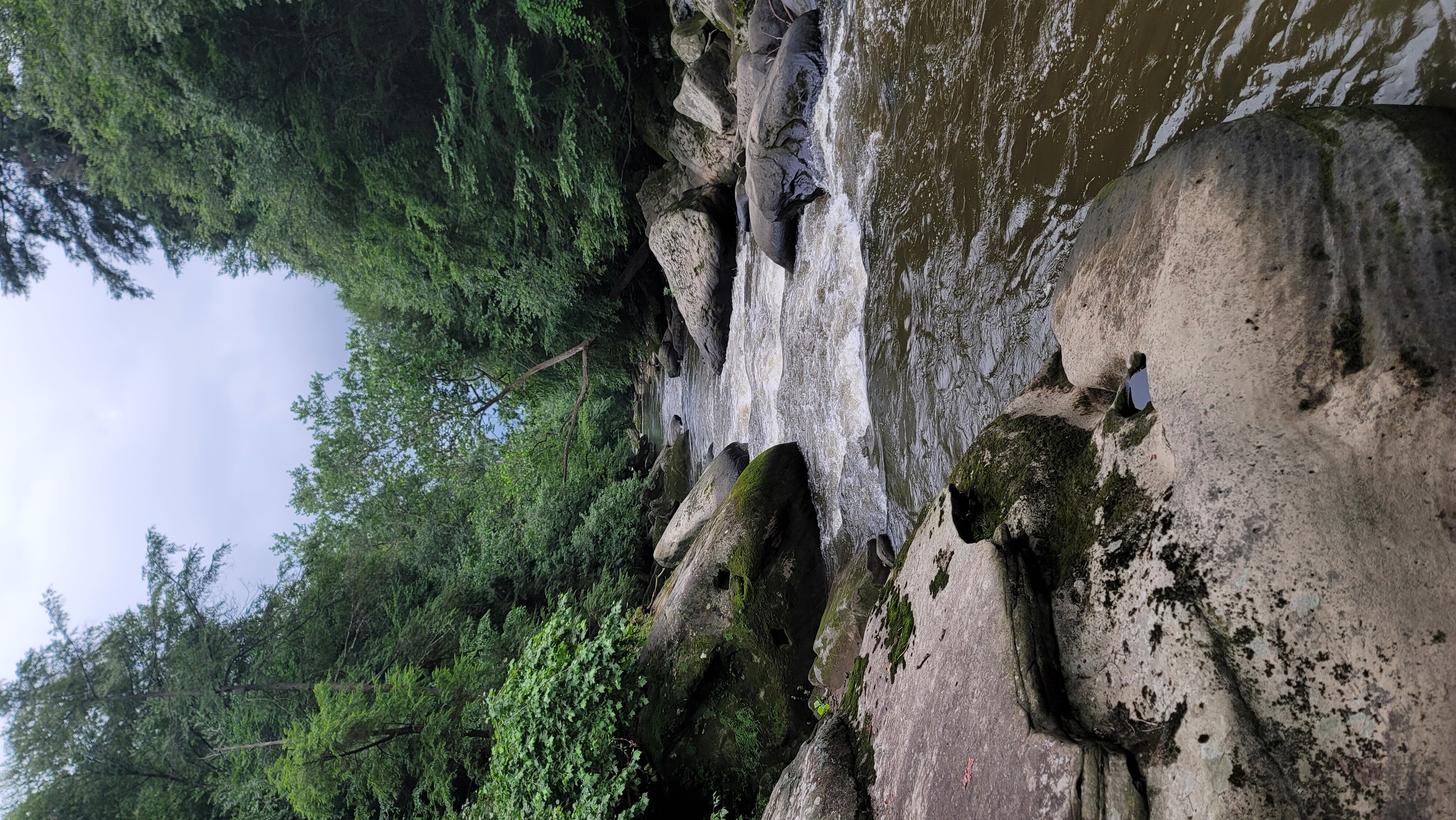 A winding current cuts through a beautiful forest with large boulders.